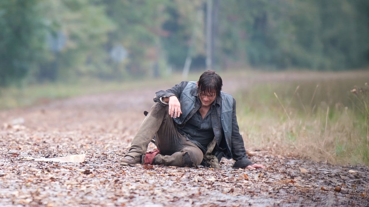 The Walking Dead - Sezon 4 Odcinek 13 - Online