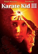 Karate Kid 3 – informacje, obsada i gdzie obejrzeć online | eKino