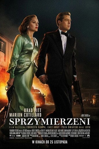 Sprzymierzeni – informacje, obsada i gdzie obejrzeć online | eKino